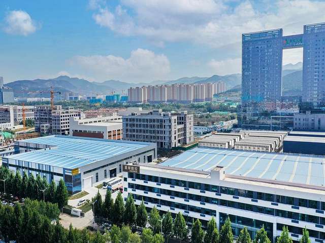 福建臻旺小猪酒推荐