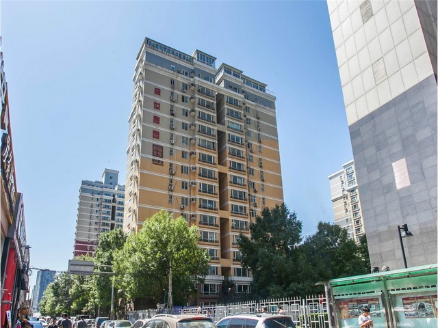 山东循式干式真空泵批发